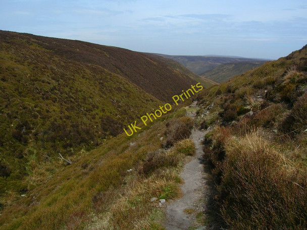Photo 6"x4" Upper Bleadale Fair Oak\/SD6446 c2010