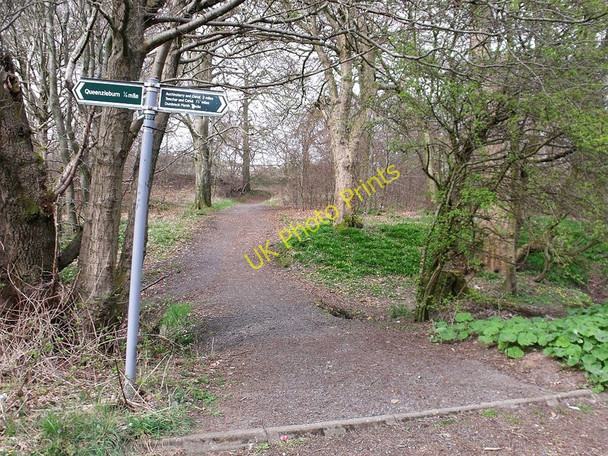 Photo 6"x4" Woodland path at Arnbrae Kilsyth c2010
