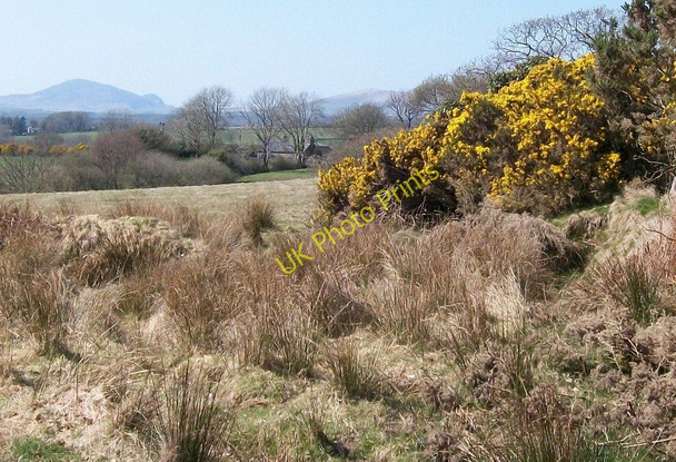 Photo 6"x4" View across rough grassland towards Lliwdy cottage Criccieth c2010