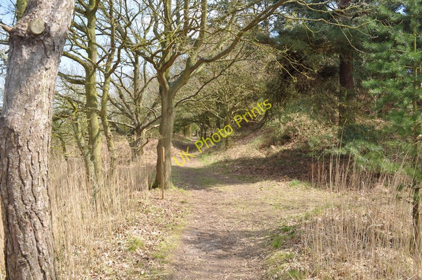 Photo 6"x4" Southwold Railway Trackbed Blythburgh c2010