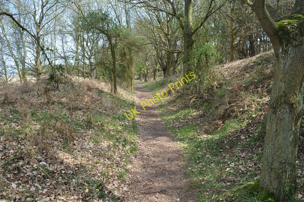 Photo 6"x4" Southwold Railway Cutting Blythburgh c2010