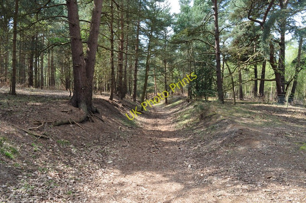 Photo 6"x4" Southwold Railway Cutting Blythburgh c2010