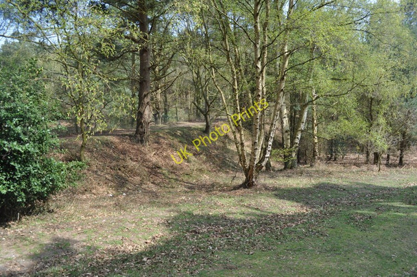 Photo 6"x4" Southwold Railway Embankment Blythburgh c2010