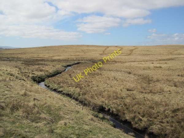 Photo 6"x4" Tipalt Burn Sweet Sike c2010