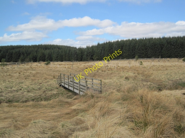Photo 6"x4" Footbridge over Tipalt Burn Sweet Sike c2010