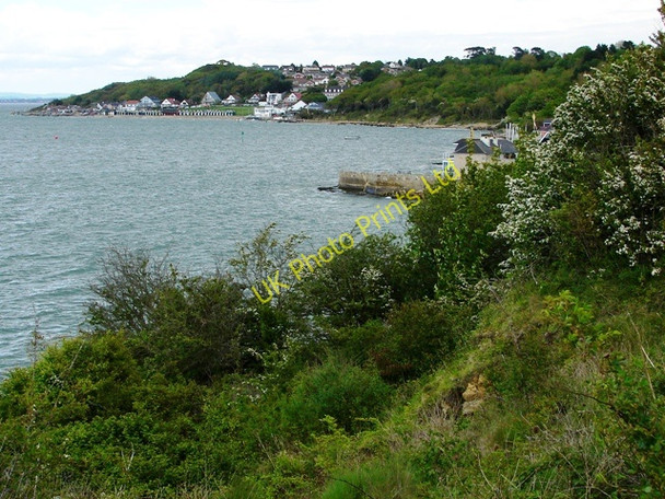 Photo 6"x4" Coastal Path Gurnard c2006