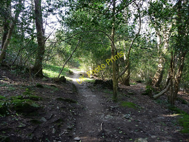 Photo 6"x4" Footpath between Laxey and Old Laxey Laxey c2010