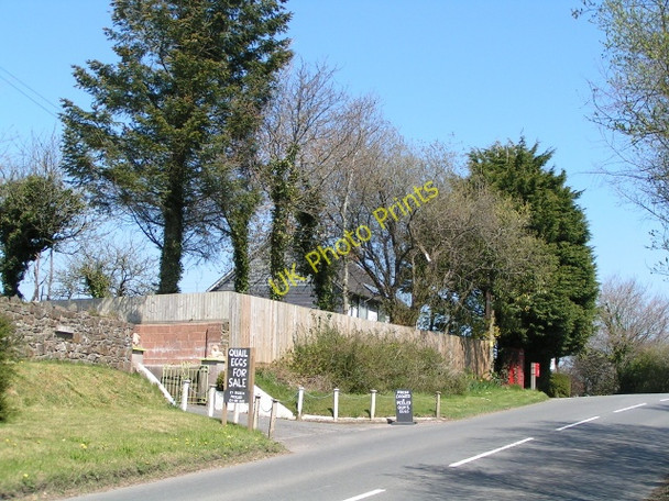 Photo 6"x4" Quail eggs for sale at Sampford Courtenay station Belstone Corner c2010