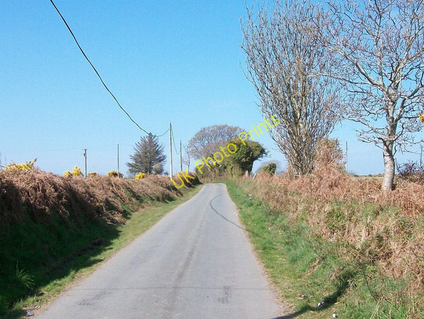 Photo 6"x4" Country road north of Bryn Dewin Llanarmon c2010