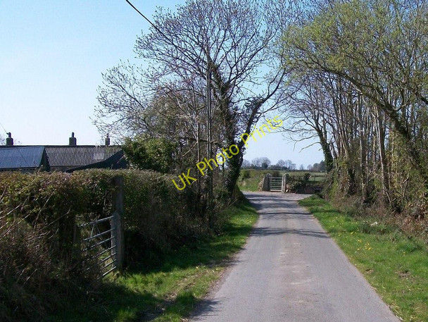Photo 6"x4" Approaching Rhedynog Ganol and the farm road to Plas Newydd Llanarmon c2010