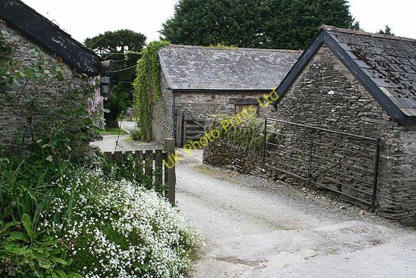 Photo 6"x4" Arlington: Middle Beccott Farm Arlington Beccott c2006