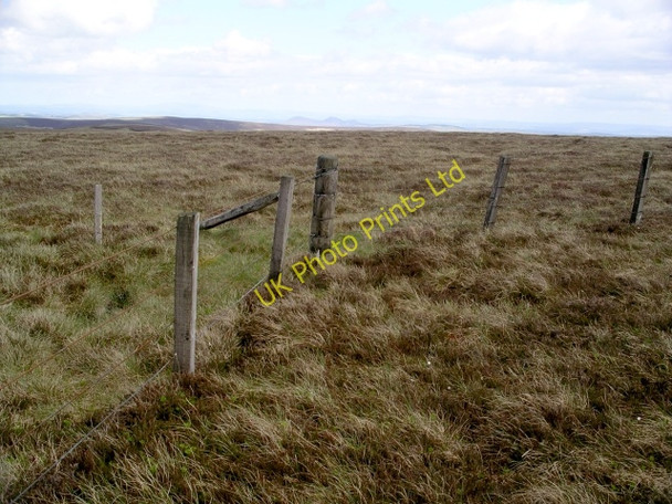 Photo 6"x4" Fence angle, Pringle's Green Pringles Green c2006