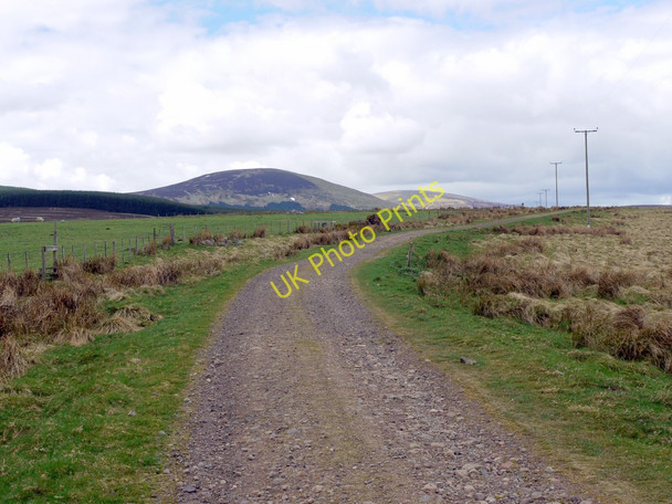 Photo 6"x4" Track west of The Dod Ilderton c2010