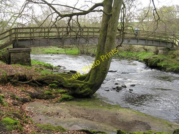 Photo 6"x4" River Avon by Wallace's Cave Westfield\/NS9372 c2010
