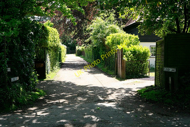 Photo 6"x4" Clough Lane, Burley Burley\/SU2103 c2006