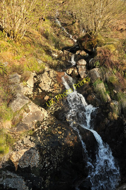 Photo 6"x4" Alltan Dubh Corfhouse c2010