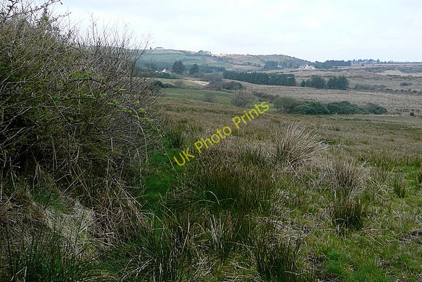 Photo 6"x4" Farmland at Gortalougha Inagh c2010