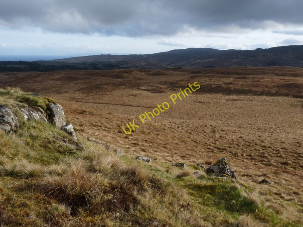 Photo 6"x4" Rough grass on Beinn Buidhe, Ardnamurchan Glenmore River\/NM5863 c2010