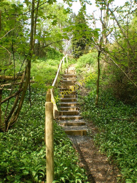 Photo 6"x4" Steps up (or down) a steep path Much Wenlock c2010