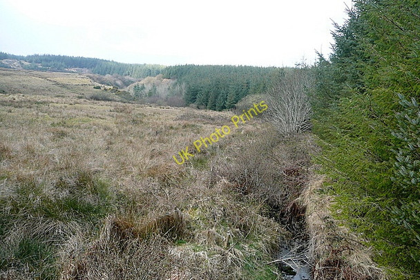 Photo 6"x4" Looking towards Boolinrudda Inagh c2010