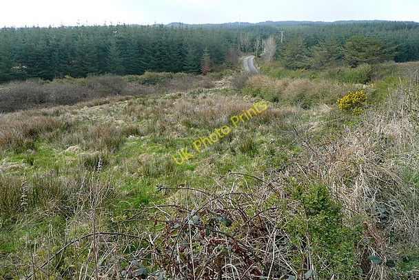 Photo 6"x4" Approaching Boolinrudda Inagh c2010