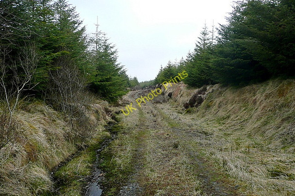 Photo 6"x4" Forestry track at Boolinrudda Connolly c2010 P1