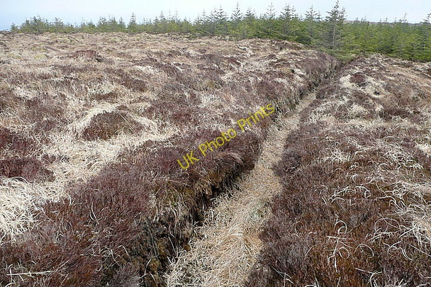 Photo 6"x4" Moorland on Slievecallan Connolly c2010