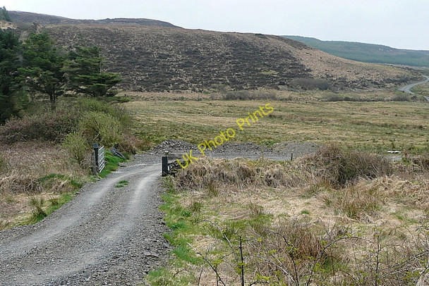 Photo 6"x4" Track at Letterkelly Milltown Malbay c2010