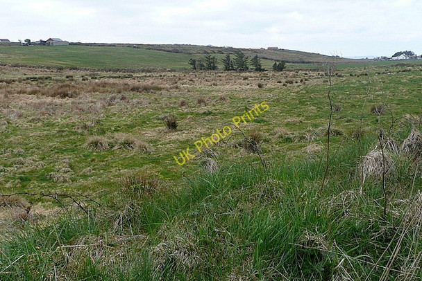 Photo 6"x4" Rough grazing at Knockbrack Milltown Malbay c2010