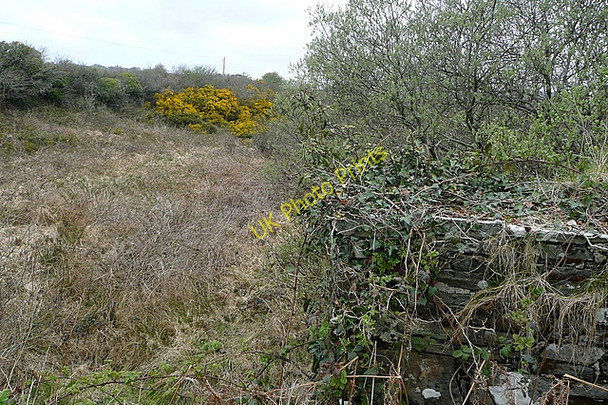 Photo 6"x4" Scrubland at Glendine South Milltown Malbay c2010