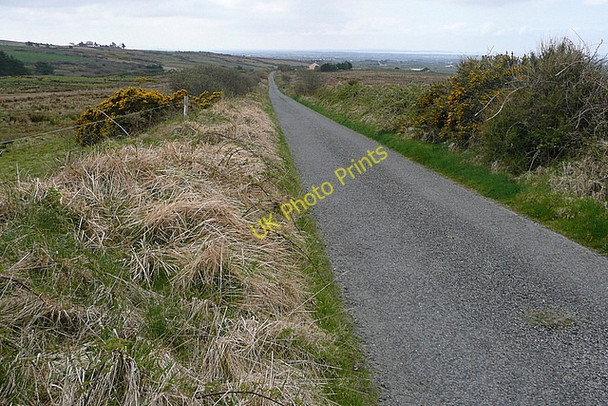 Photo 6"x4" Lane at Glendine North Milltown Malbay c2010