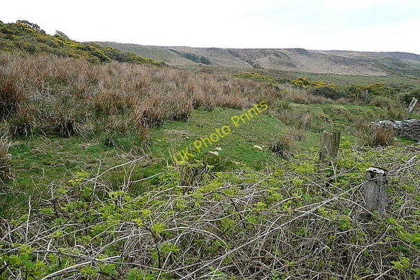 Photo 6"x4" Lane at Glendine North Milltown Malbay c2010