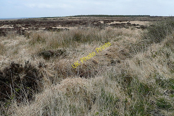 Photo 6"x4" Moorland at Curraghavaddera Milltown Malbay c2010