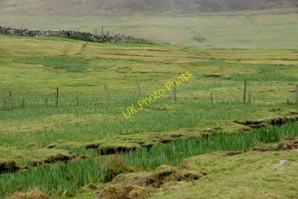 Photo 6"x4" Burn at Garthbanks, Quendale Quendale c2010