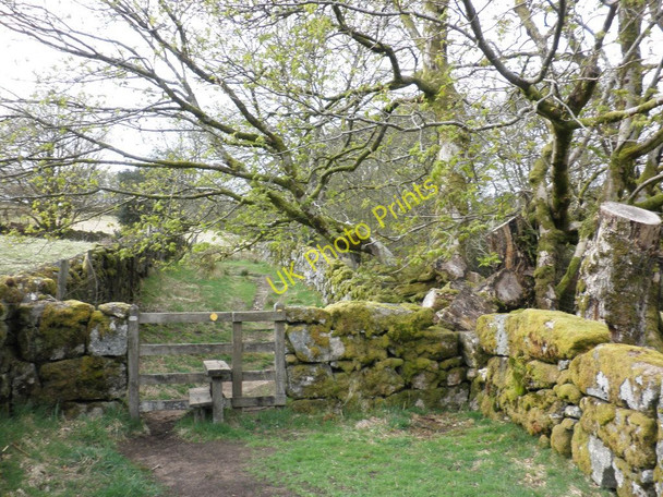 Photo 6"x4" Stile on the footpath, alongside the Cowsic River Two Bridges\/SX6075 c2010