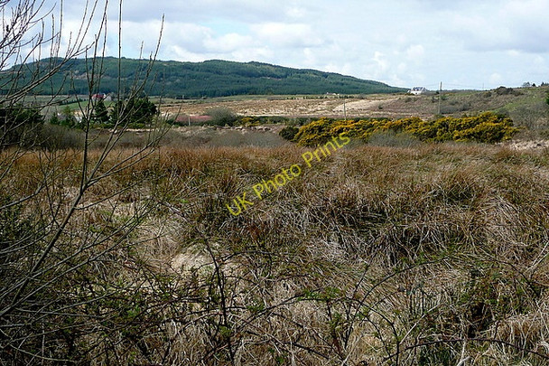 Photo 6"x4" Scrubland at Reanagishagh Connolly c2010