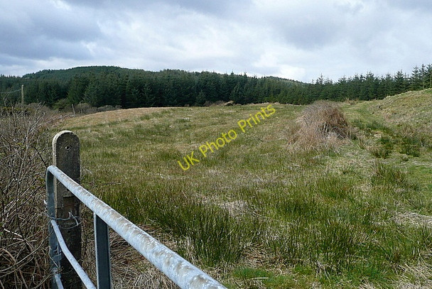Photo 6"x4" Scrubland at Slagbooly Connolly c2010
