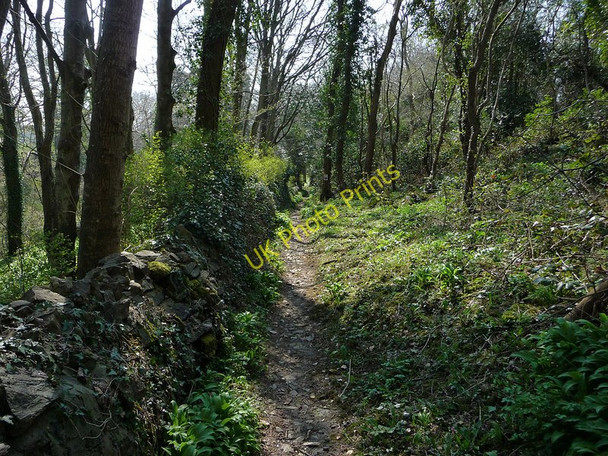 Photo 6"x4" Millennium Way, north of Ballasalla Ballasalla\/SC2870 c2010