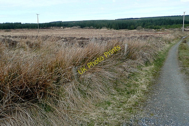 Photo 6"x4" Forestry and moorland west of Boolyneaska Connolly c2010