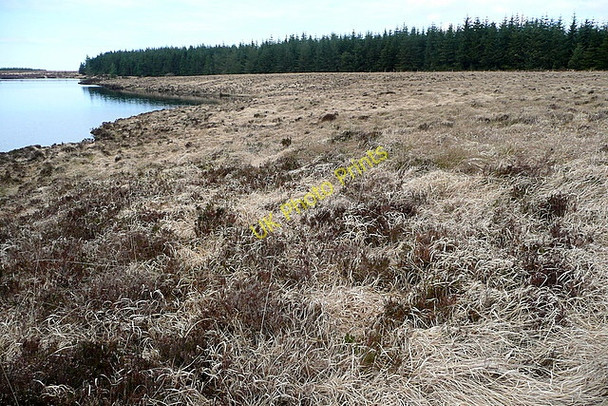 Photo 6"x4" Lough Naminna shoreline Connolly c2010