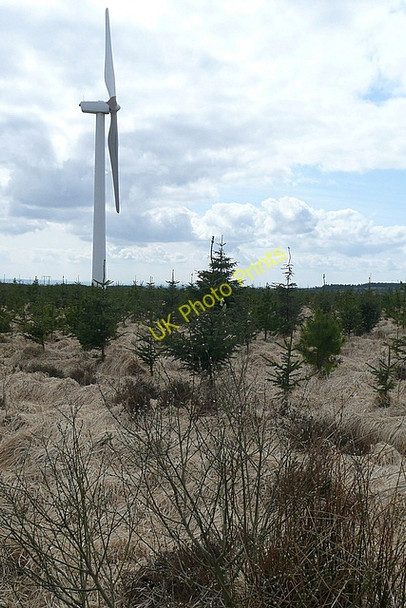 Photo 6"x4" Windfarm at Booltiagh Liscasey c2010