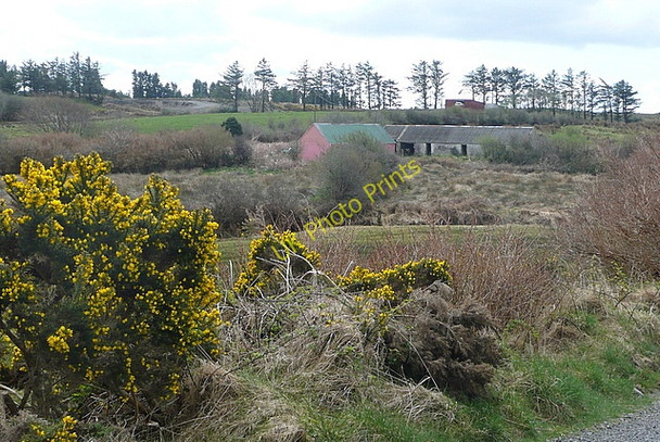 Photo 6"x4" Farm at Booltiagh Liscasey c2010