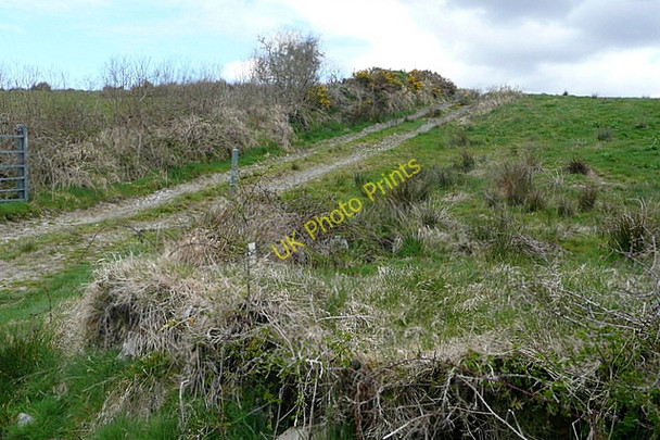 Photo 6"x4" Farm track at Glenmore Kilmihil c2010