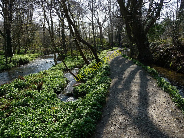 Photo 6"x4" Silverdale Glen Ballasalla\/SC2870 c2010 P1