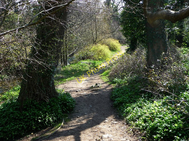 Photo 6"x4" Path beside the Silverburn Ballasalla\/SC2870 c2010