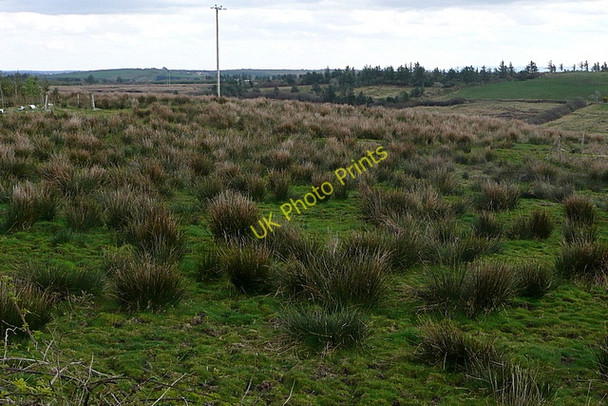 Photo 6"x4" Rough grazing at Cahermurphy Kilmihil c2010