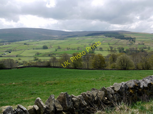 Photo 6"x4" Pasture above New House New Ho\/NY8738 c2010