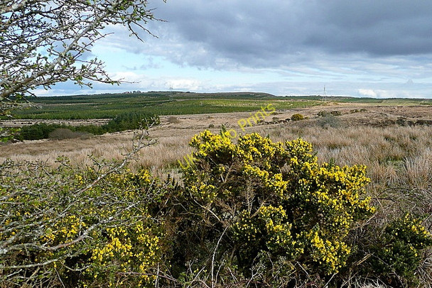 Photo 6"x4" Moorland south of Barony Bridge Connolly c2010