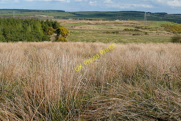 Photo 6"x4" Rough grazing at Cloonlaheen East Connolly c2010
