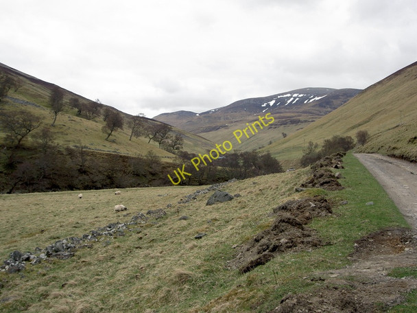 Photo 6"x4" Glen Tilt Kirkton of Lude c2010